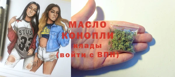 дмт Бородино