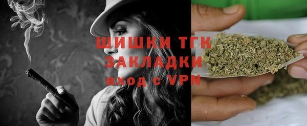 дмт Бородино