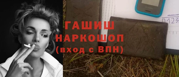 дмт Бородино