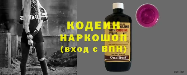 дмт Бородино
