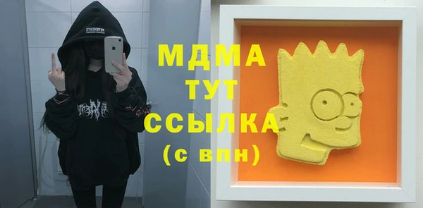 дмт Бородино