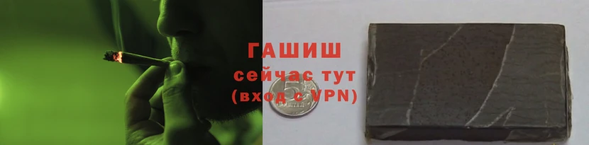 дмт Бородино