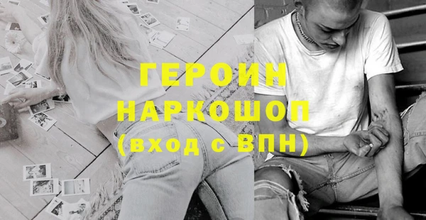 дмт Бородино