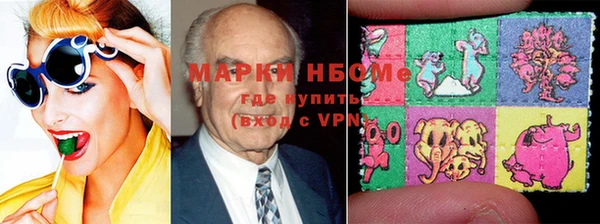 дмт Бородино